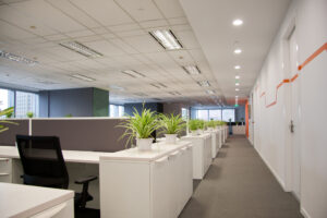 plants in office design